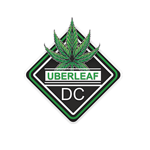 uberleaf Logo